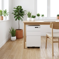 Expédition rapide, meuble de rangement mobile en métal à 3 tiroirs, assemblage facile, armoire de classement en acier, organisateur sous le bureau