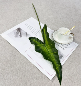 اصل جديد النباتات الخضراء الصناعية أوراق الأكاسيا الجذعية الواحدة أوراق البغونية أوراق الكالاديوم - Product Image 5