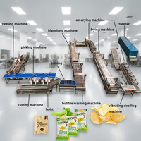 Ligne de production de frites industrielles entièrement automatique avec friteuse en acier inoxydable 304, capacité de 50 à 2000 kg/h