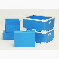 Récipient en plastique pliable PP ondulé Polionda personnalisé Pradan Case transportant la boîte de rangement avec poignées pour une grande partie