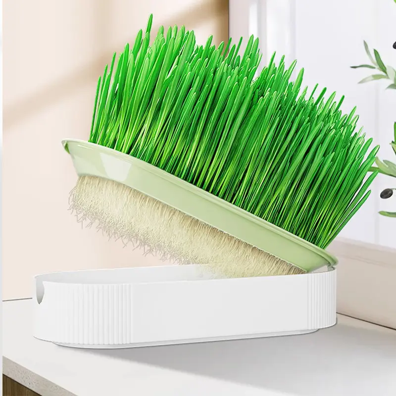 Groothandel Hot Selling Pet Health Safety Cat Grass Growing Kit Spugen Haarbal Spijsvertering Kat Hydrocultuur Gras Pot