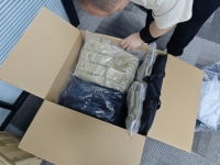 Gilets tactiques en nylon 1000D anti-coupure, découpés au laser, porte-plaques Molle à dégagement rapide, pour activités extérieures et protection paintball