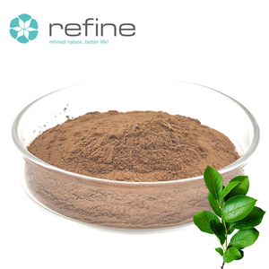 En stock : Poudre de feuilles de racine séchées naturelles, pures et biologiques, extrait d'ortie, acide corosolique, extrait de myrtille. - Product Image 2