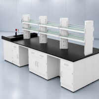Table de laboratoire sur mesure ODM entièrement en acier avec évier et robinets, plateau en résine époxy, poste de travail pour laboratoire de biologie et de microbiologie