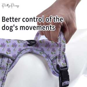 Multi-color Striped Fashion Customizable Nylon Pet <b>Harness</b>-Adjustable Breathable Durable & Comfortable - Product Image 4