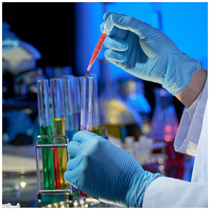 分散红153，分散红GR，CAS NO.78564-87-1，纺织染料，纤维染料 - Product Image 6