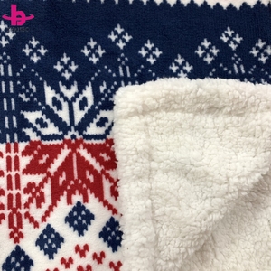 Factory Wholesale Custom Design Thick Double Side Luxury Colorful Coral Fleece Sherpa Throw Blanket - Product Image 4