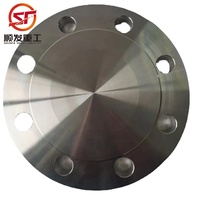 Bride aveugle haute pression SHUNFA en acier au carbone, surface polie, taille personnalisée, OEM, pour l'étanchéité fiable des pipelines industriels