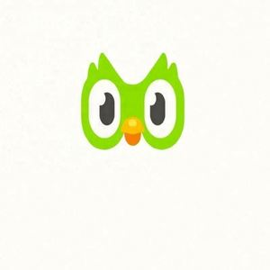 บัญชี Duolingo Pro Edu ระดับพรีเมียม 1 ปี ใช้ได้ทั่วโลก เปิดใช้งานด้วยตนเอง - Product Image 2