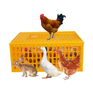 Jaulas de Plástico para Transporte de Pollos, Cajas de Transporte de Aves de Corral para Granja - Product Image 3