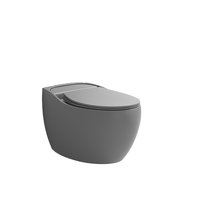 Articles sanitaires en céramique gris mat Piège en P européen suspendu cuvette de toilette monobloc murale pour salle de bain ou maison