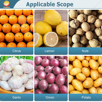 ORME kleine dadel avocado sorteermachine kiwi citrus appel fruit maat sorteermachine voor aardappelen