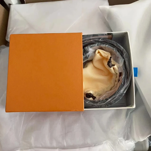 2025 Top Brand di lusso cinture di design per uomo e <span class=keywords><strong>donna</strong></span> mucca pelle materiale con stile Casual e fibbia in lega - Product Image 5