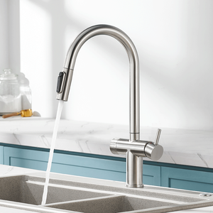 ก๊อกน้ำห้องครัวสแตนเลส 304 แบบดึงออกได้ สไตล์โมเดิร์นคลาสสิก สำหรับโรงแรม ขายตรงจากโรงงาน พร้อมฟังก์ชั่นกรองน้ำดื่ม - Product Image 3