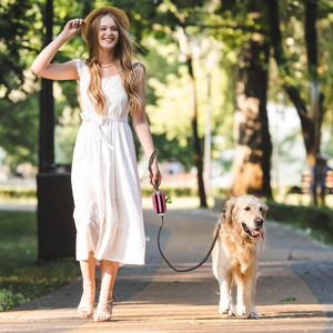 Porte-sacs à crottes de <span class=keywords><strong>chien</strong></span> portable et étanche avec logo personnalisé et distributeur avec porte-gâteries pour laisses - Accessoires de promenade pour chiens <span class=keywords><strong>en</strong></span> plein air - Product Image 5