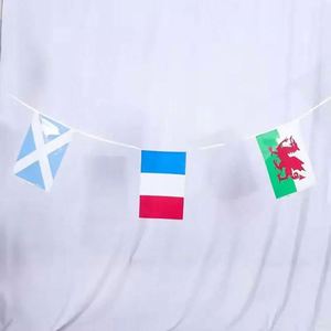 Banderines Triangulares de Plástico Personalizados para Decoración de Fiestas, Impresión a Color, Guirnalda de Banderas Nacionales de PE - Product Image 5