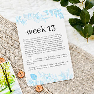 Biglietti di preghiera per <span class=keywords><strong>la</strong></span> gravidanza 20 carte con rilegatura a spirale copre 42 settimane di gravidanza e richieste di preghiera corrispondenti - Product Image 4