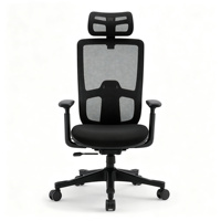 Chaise de bureau ergonomique en maille avec appuie-tête réglable, accoudoirs 3D, repose-pieds rétractable, dossier haut, chaise d'ordinateur pour la maison et le bureau