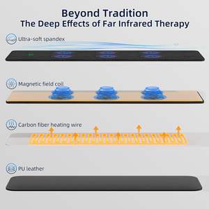 Kasur Pijat <span class=keywords><strong>PEMF</strong></span> Inframerah Jauh Terapi Medan Elektromagnetik Berdenyut 0-99Hz untuk Tubuh - Product Image 6