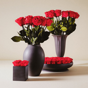 2025 Saint Valentin Cadeau <span class=keywords><strong>Fleur</strong></span> Éternelle Avec Tige Vénus <span class=keywords><strong>Fleur</strong></span> Nouveau Produit Logo Personnalisé Coloré Infini Préservé Rose <span class=keywords><strong>Bouquet</strong></span> - Product Image 2