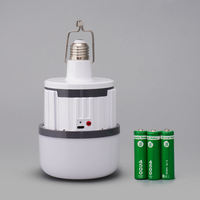 Ampoule de Secours LED Type-C E27 5V Portable et Rechargeable de Bonne Qualité pour Camping et Maison