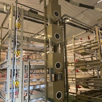 Cage d'élevage de poulets de chair à récolte automatique pour l'agriculture