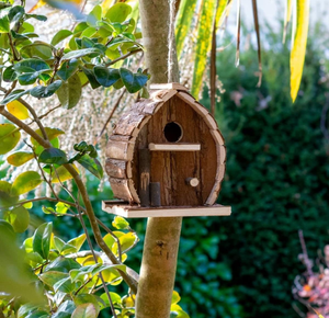 Nichoir rustique FSC pour oiseaux, maison suspendue, résistant aux intempéries, idéal pour toute taille, jardin, extérieur, arbre, nichoir en bois - Product Image 3
