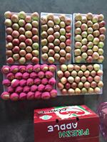 Apel Fuji Segar Kualitas Premium, Manis dan Renyah, Buah Merah untuk Ekspor Grosir dalam Jumlah Besar Langsung dari Pabrik di Cina