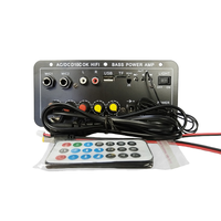 D10C 30W Şarj Edilebilir HiFi Amplifikatör Kartı, Ev KTV'si için Karaoke Mikrofonlu USB TF Uzaktan Kumandalı