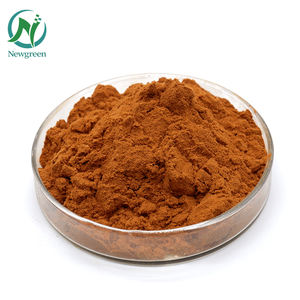 Newgreen 하이 퀄리티 최저가 그린 커피 콩 추출 분말 대량 - Product Image 2