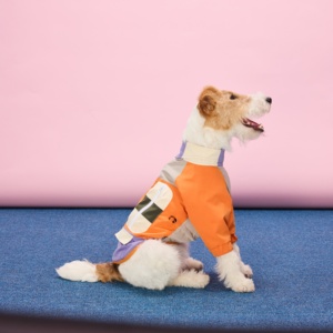 Produttore OEM ODM di abbigliamento per animali domestici, abbigliamento personalizzato per cani con servizio di logo, vestiti per tutte le stagioni per cani di taglia media e grande, cani da caccia - Product Image 2