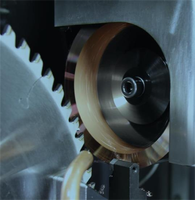 Machine d'affûtage Pcd de lame de scie à ruban d'affûtage Cnc de meulage de polissage de vente directe d'usine