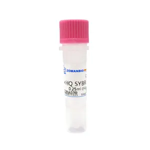 2X HQ SYBR qPCR 혼합 ROX 염료없이 실시간 PCR 화학 염료 SYBR 그린 I 핫 스타트 효소 화학 시약 ZF501