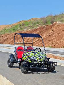 Kart Eléctrico Todoterreno Familiar Personalizado para Exteriores, Motor DC sin Escobillas <span class=keywords><strong>de</strong></span> 1200W, para Dos Personas, Quad para Parejas - Product Image 3
