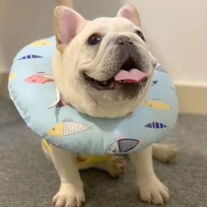 ปลอก<span class=keywords><strong>คอ</strong></span>กันเลียกัน<span class=keywords><strong>กัด</strong></span>แบบกันน้ำ ลายพิมพ์สุนัขและแมว สำหรับแมวหลังผ่าตัด ปลอก<span class=keywords><strong>คอ</strong></span>เอลิซาเบธสำหรับสัตว์เลี้ยง - Product Image 6