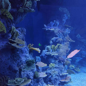 Acuario de Acrílico de Gran Tamaño, Resistente a los Impactos, Fabricado en una Sola Pieza, para Peces Dorados - Product Image 4