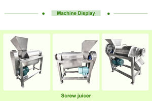 Machine à jus en spirale froide au lait de coco presse-fruits et légumes presse-agrumes jus de pomme faisant la machine - Product Image 3