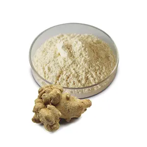 Chinese Herbal Saponins 80% UV Sanchi Panax Notoginseng Root Extract