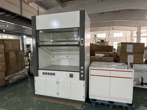 Cappa canalizzata cappa cappa per chemioterapia laboratorio mobili ospedali farmacie scuole officine ferro acciaio PP <span class=keywords><strong>vetro</strong></span> metallo - Product Image 3