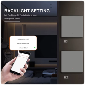 2 DS-1081ZN-2 Gang Zigbee Smart Switch magnetico Smart Life Tuya <span class=keywords><strong>APP</strong></span> UK/EU Standard con linea neutra - Product Image 4