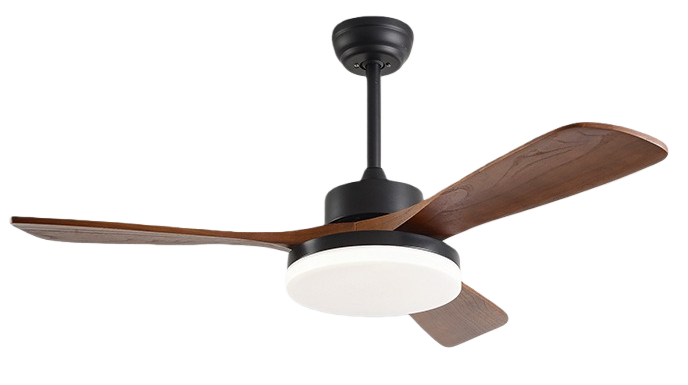 วอลนัทดำ