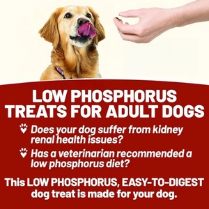 Golosinas Masticables Suaves para Perros de Marca Privada OEM/ODM, Promueven el Crecimiento, Suplemento para Cadera y Articulaciones para Mascotas, Suplemento Masticable para Articulaciones de Perros OEM - Product Image 4