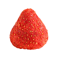 Gedroogde aardbeien gezonde bulk snacks met zoetzuur smaak snoepachtig fruit gezond GMO-vrij vacuüm verpakt