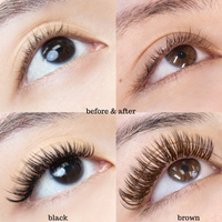 Private Label 5D Wet Look Extensions de cils Premade Angel Lash Tray Closed Fan Spikes Personnalisable Made Korean PBT
