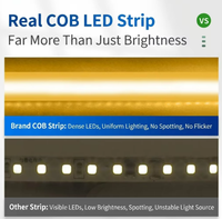 Tiras de Luces LED de Cobre, ROHS, 110V, IP68, Impermeables, COB, Flexibles, con Enchufe, Iluminación de Contorno para Exteriores y Edificios