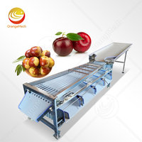 Orme Hoge Efficiëntie Avocado Groente Grootte Sorteermachine Mini Aardappel Maat Grader Te Koop