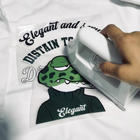 Pegatinas para Ropa y Calzado, Diseños Termoadhesivos para Camisetas, Calcomanías de Moda Personalizadas, Impresión de Película DTF, Impresión por Transferencia en Caliente