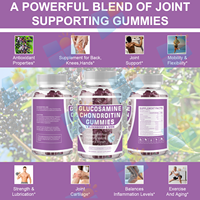 Complément alimentaire végétalien pour les articulations SUNI Private Label, gommes pour les os et les articulations, gommes à la glucosamine et à la chondroïtine pour le soutien des articulations