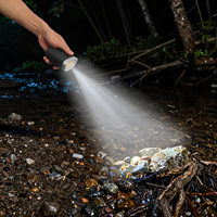 Lampe de barbecue rechargeable 300 lumens, étanche IP65, lampe LED COB portable pour lampe torche, camping et barbecue