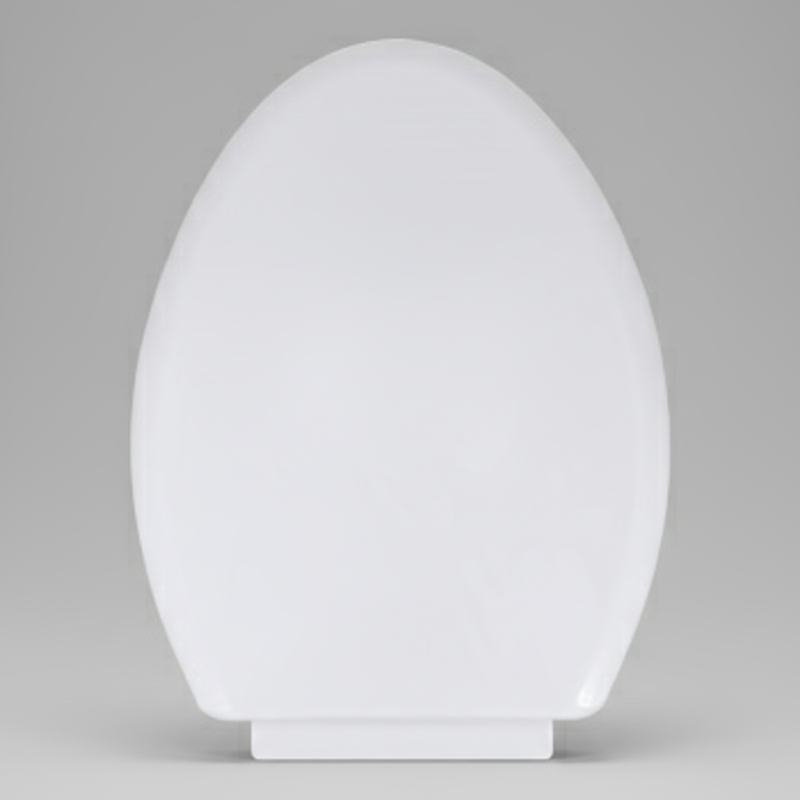 Modern slow closing toilet seat with